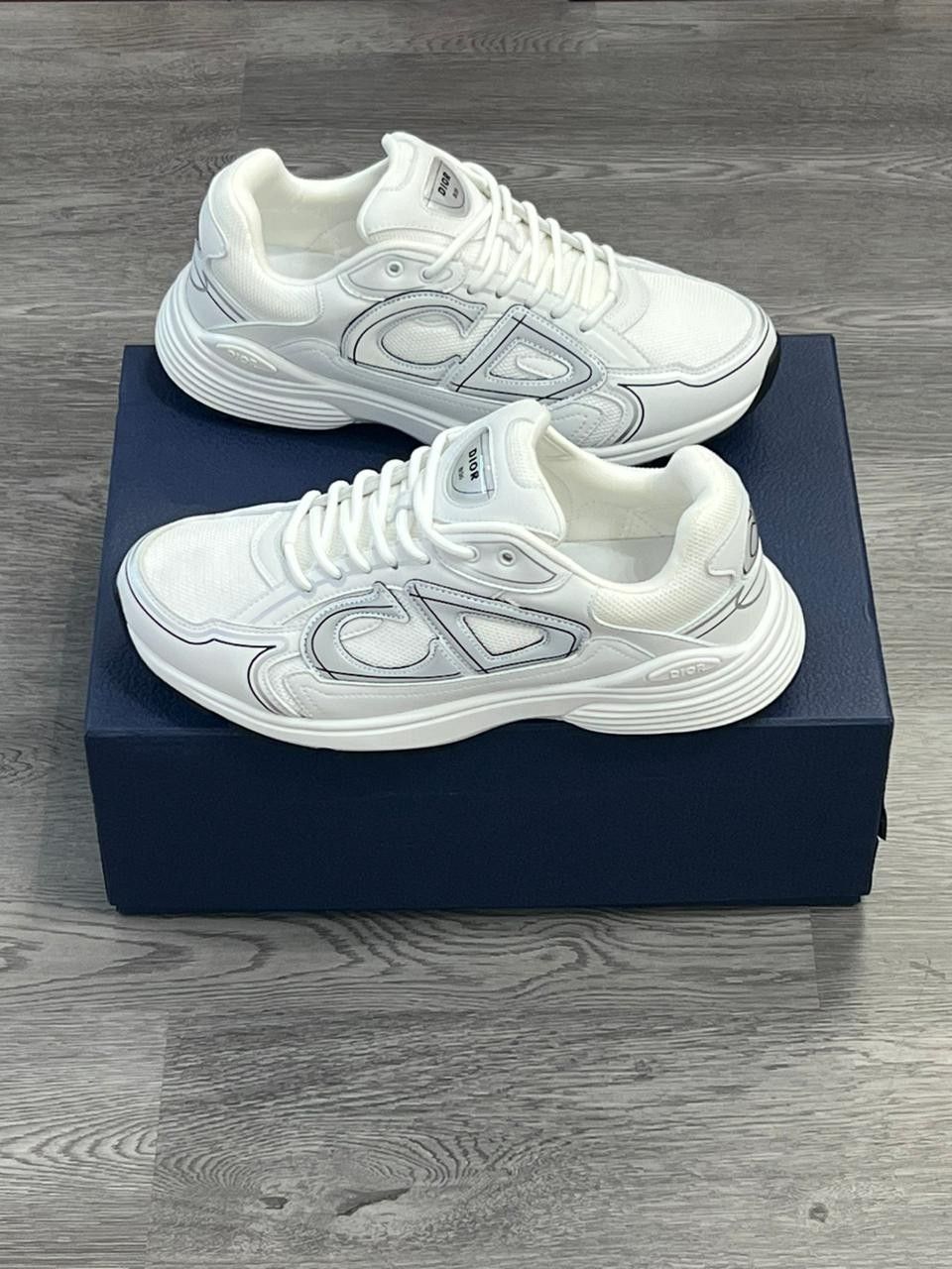Zapatillas Dior B30
